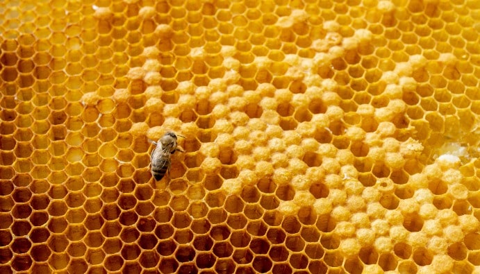 مكونات السكر في العسل