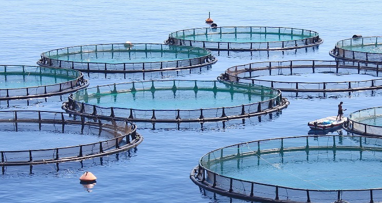Denizlerde Faaliyet Gösteren Balık Çiftliklerinin Çevresel Yönetimi Yönetmeliği 