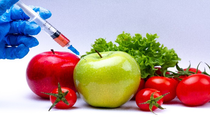 Обнаружение ГМО в продуктах питания