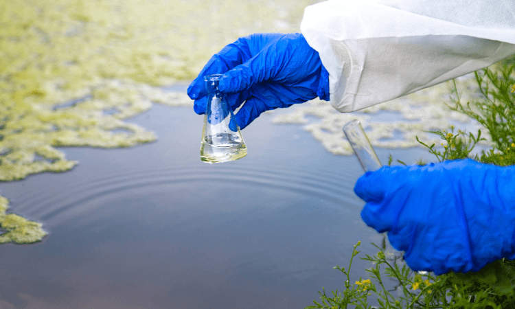 Bepaling van nitraat in water: Betrouwbare analyse met ionchromatografie