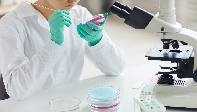 Coagulase Positive Staphylococci Enumeration: S. aureus
