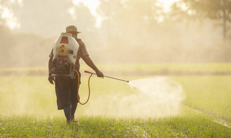 GLP Evaluation of Pesticide Products: Environment and Health