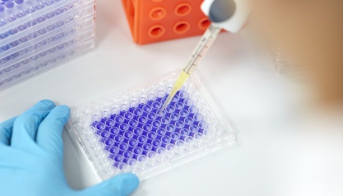 اختبارات السمية الخلوية في المختبر (ISO 10993-5)