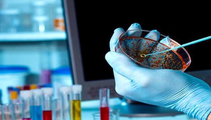 ISO 4832: Coliform Bacteria Count - Colony Counting Technique