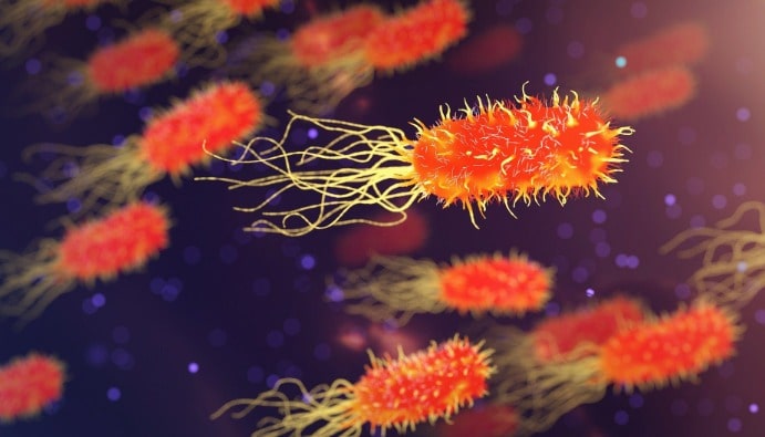 Legionella Bactericidal Testing for Safe Water & Surfaces