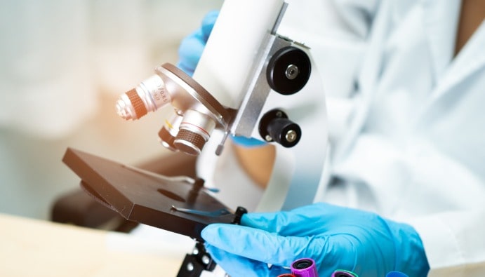 Listeria monocytogenes Detection: Microbiological Testing