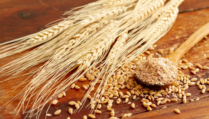 Méthodes d'analyse du blé et de la farine