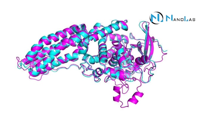 NMR Spectroscopy of Proteins: Methods and Applications
