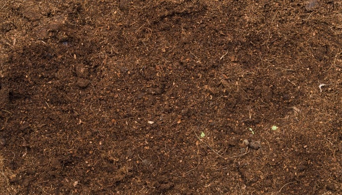 Phosphorus in Sewage Sludge: Water and Sludge Quality