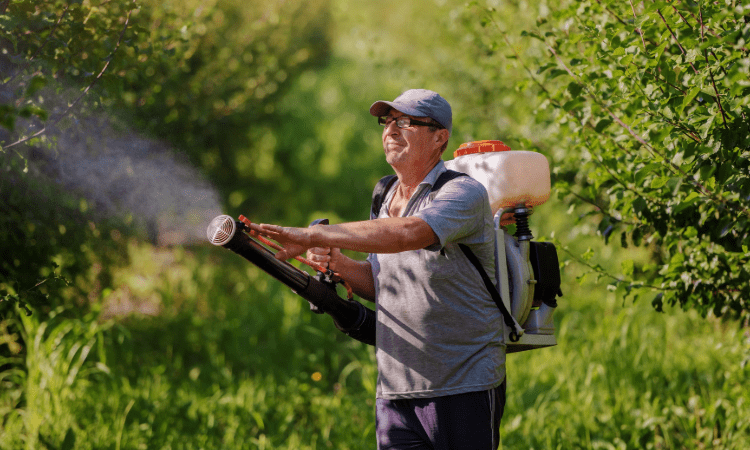 Safe Food Consumption with Pesticide Residue Analysis