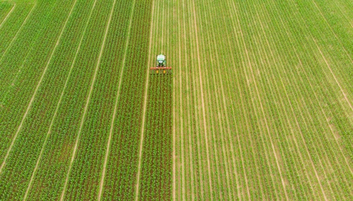 Total Analysis of Indicator PCBs: Environmental and Food Safety
