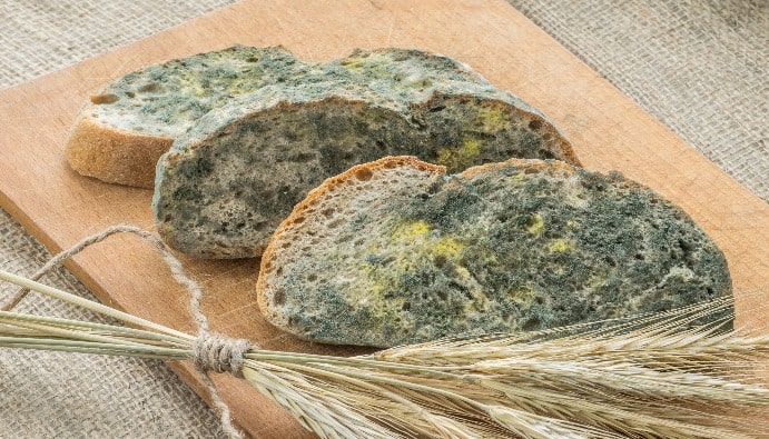 Yeast and Mold Counting in Foods: Microbial Food Safety